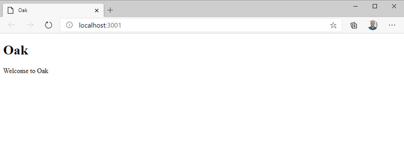 application running returning template